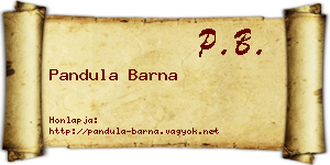 Pandula Barna névjegykártya