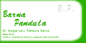 barna pandula business card